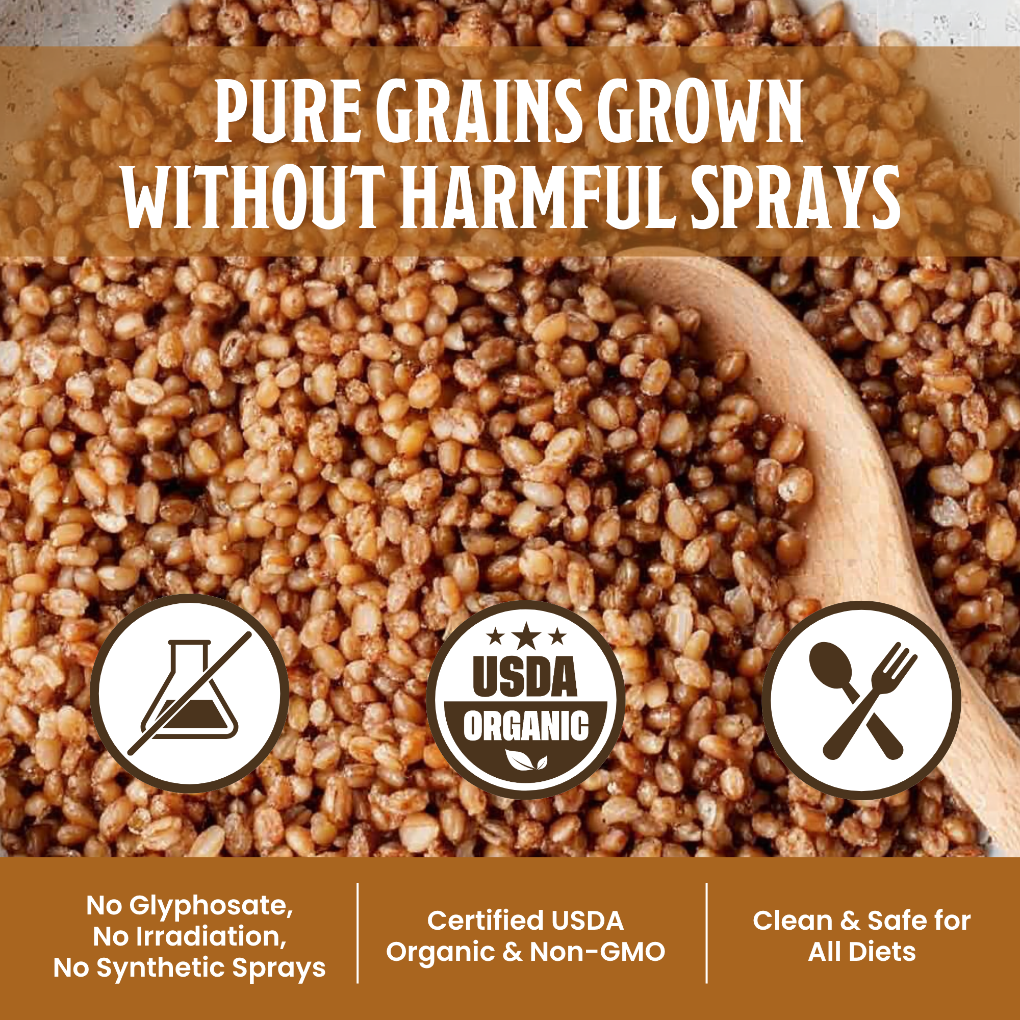 Hard Red Wheat Berries USDA Organic Non-GMO Farmer Bob's