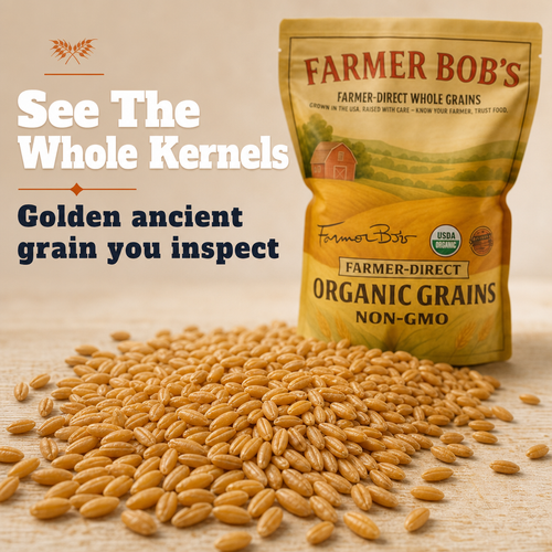 Close-up pile of golden KAMUT Khorasan wheat kernels beside the Farmer Bob's package