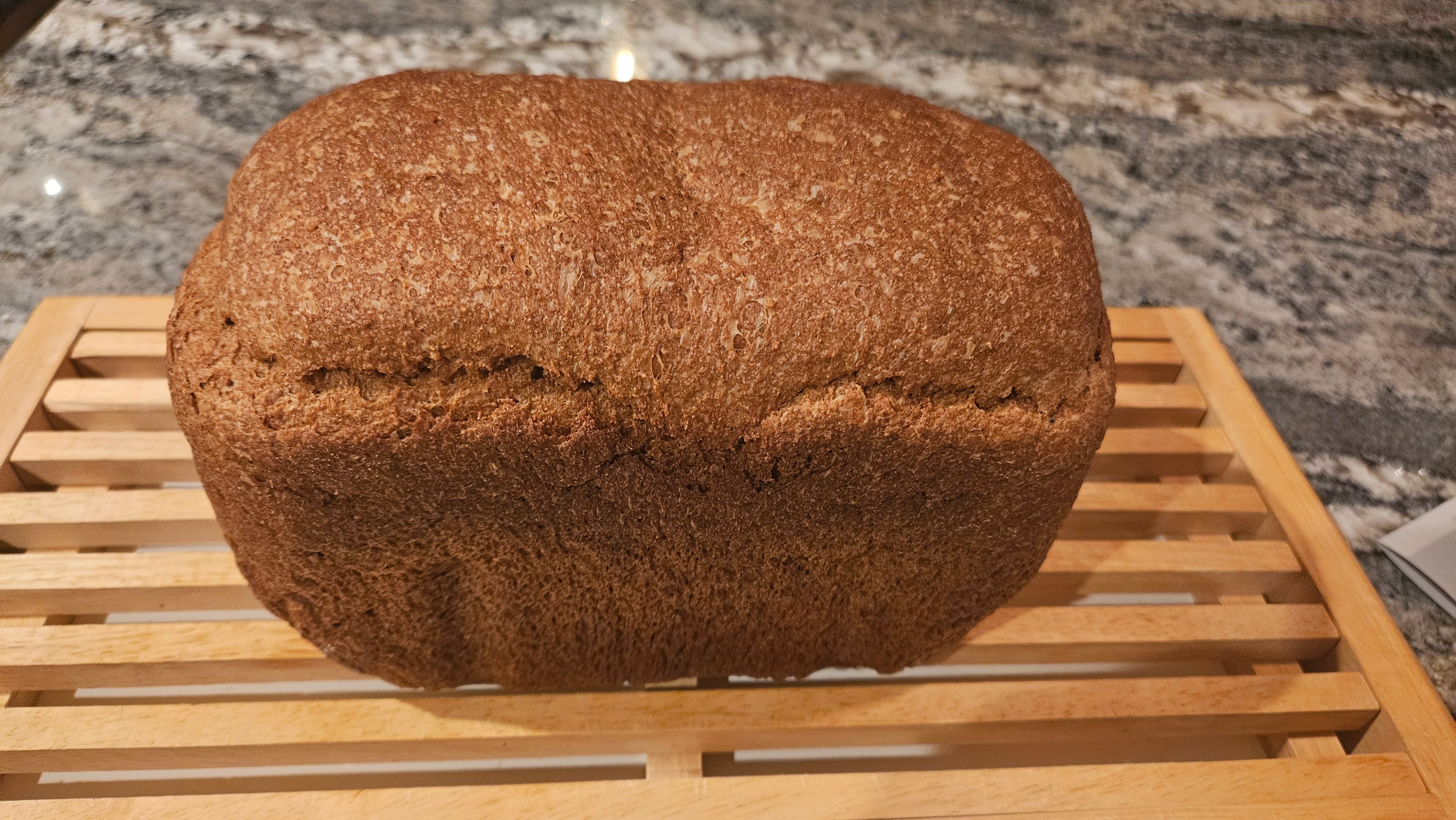 5lb Red Fife Hard Red Winter Wheat Whole Berries Heirloom Non-Hybrid Heritage Wheat No-Glyphosate